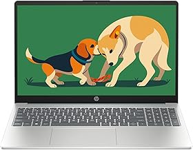 HP 15.6” Touchscreen FHD IPS Laptop, Intel i3-N305 Processor Up to 3.78GHz, 8GB DDR4 RAM, 256GB SSD, HDMI, Super-Fast 6th Gen WiFi, Windows 11, Renewed